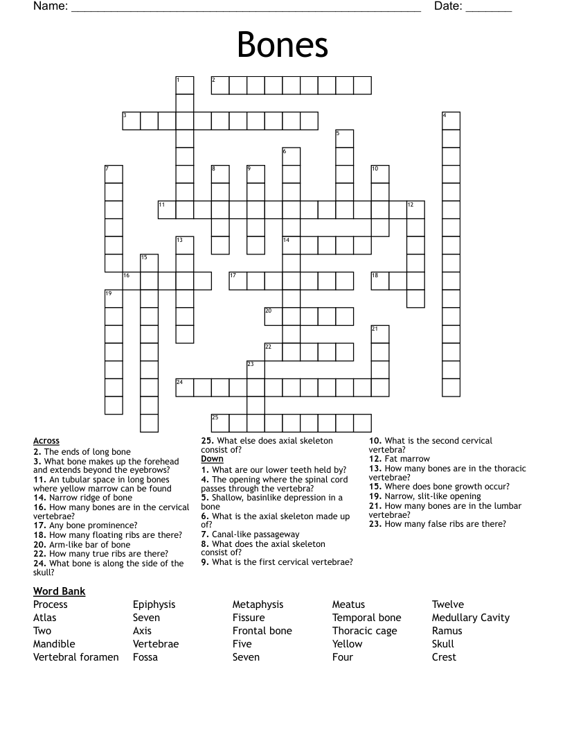 Bones Crossword
