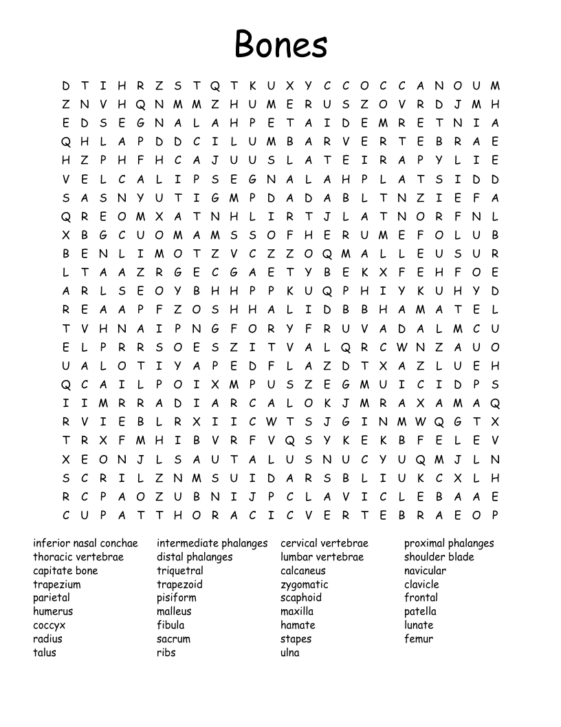 Bones Word Search