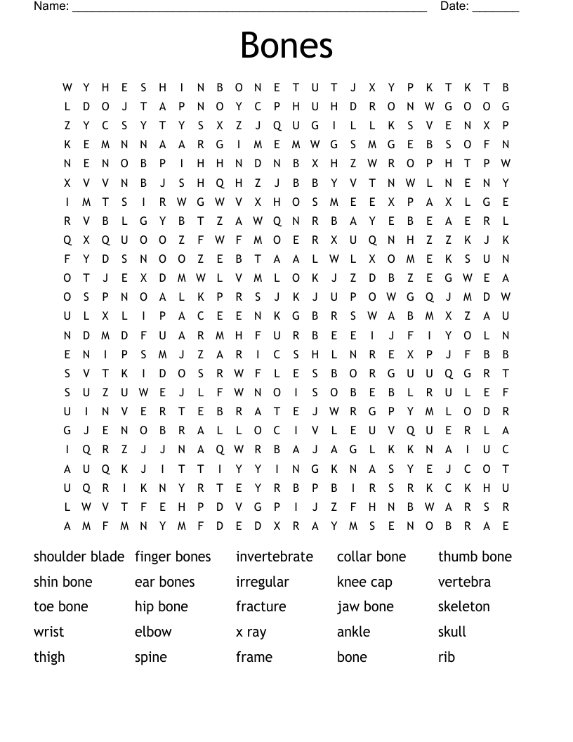 Bones Word Search