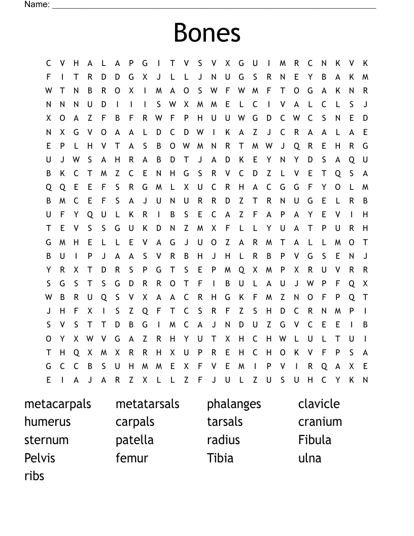 Bones Word Search