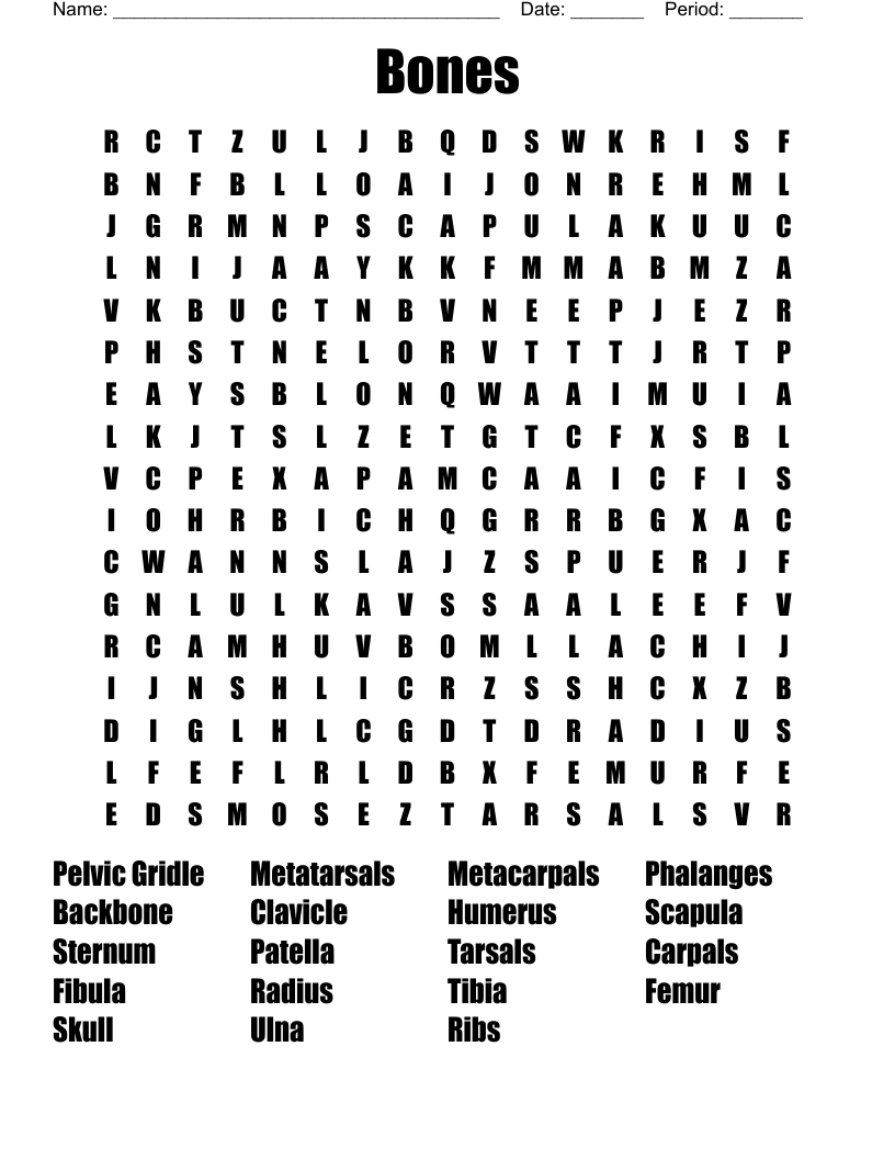 Bones Word Search