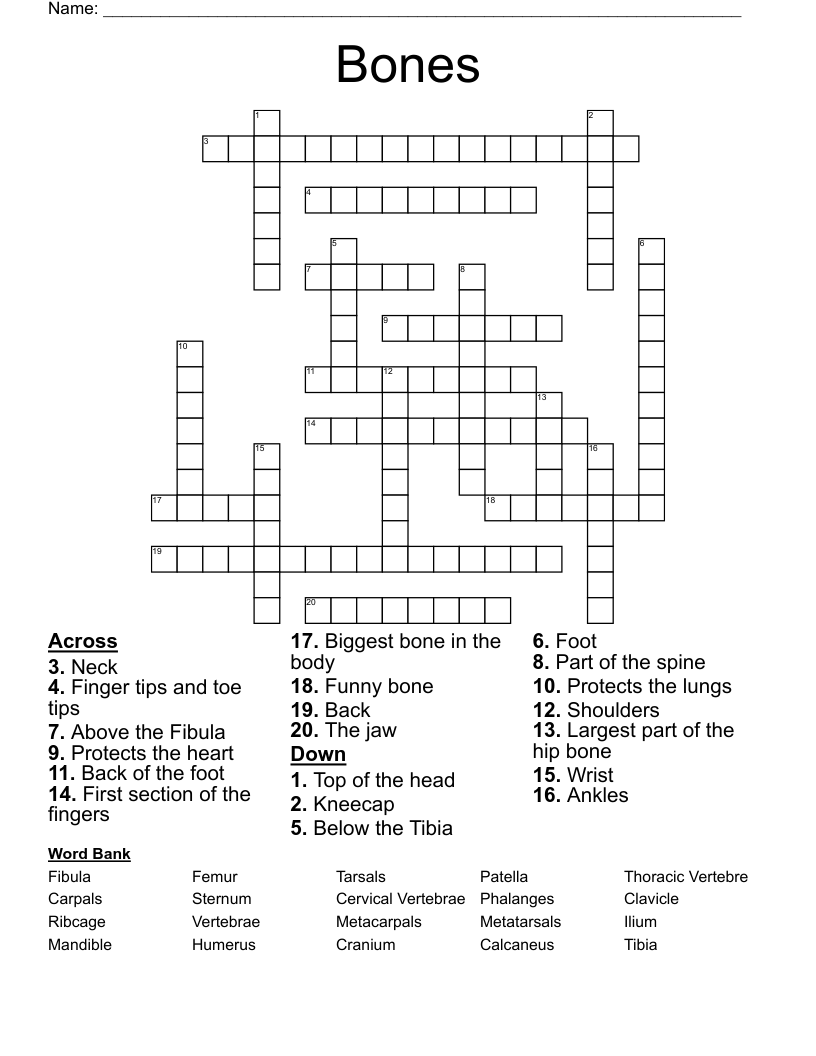 Bones Crossword
