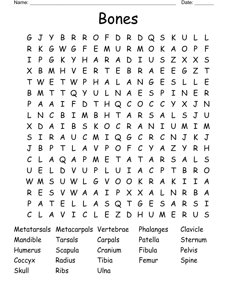 Bones Word Search