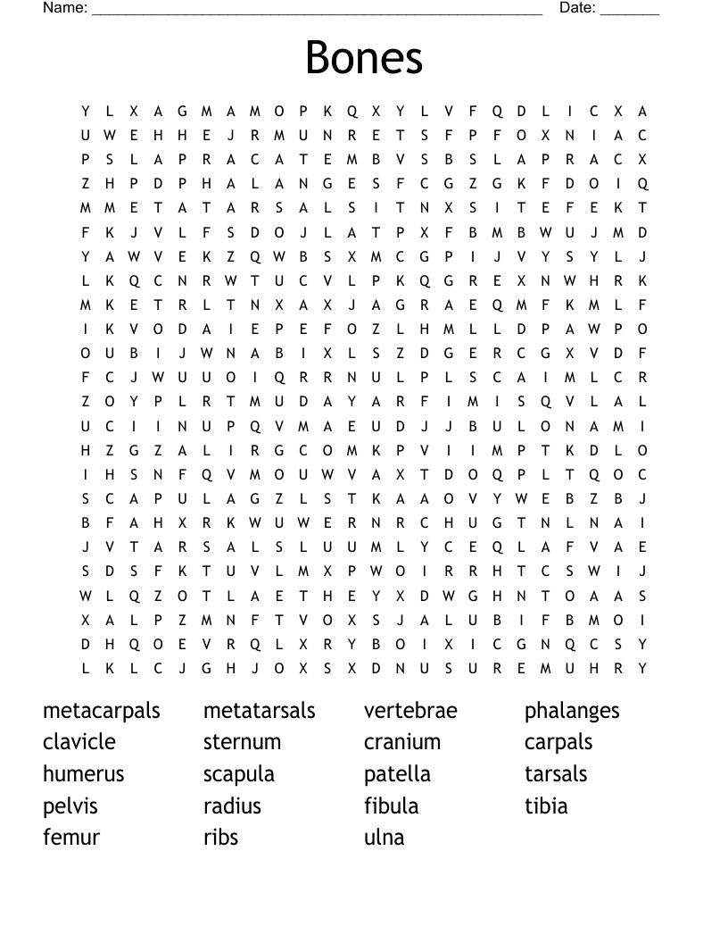 Bones Word Search