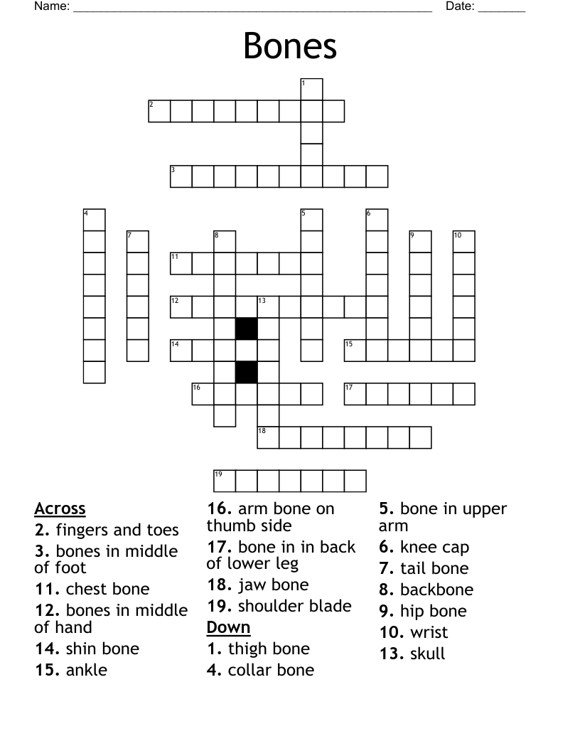 Bones Crossword