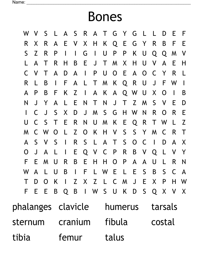 Bones Word Search