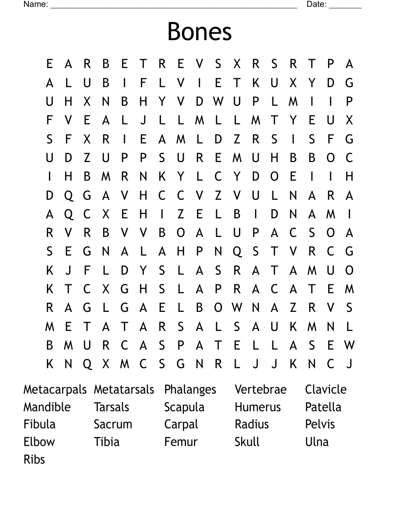 Bones Word Search