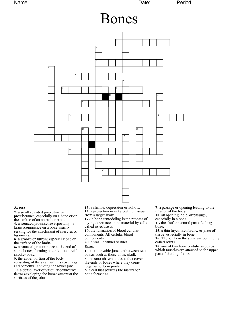 Bones Crossword