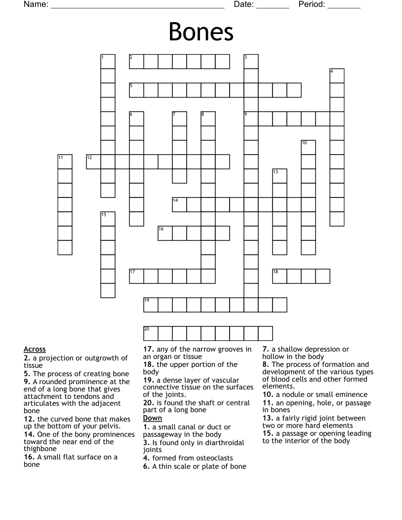 Bones Crossword