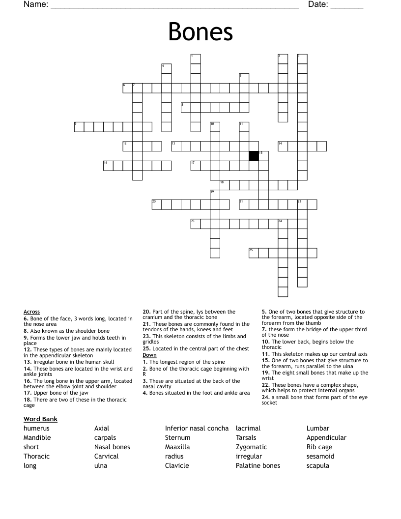 Bones Crossword