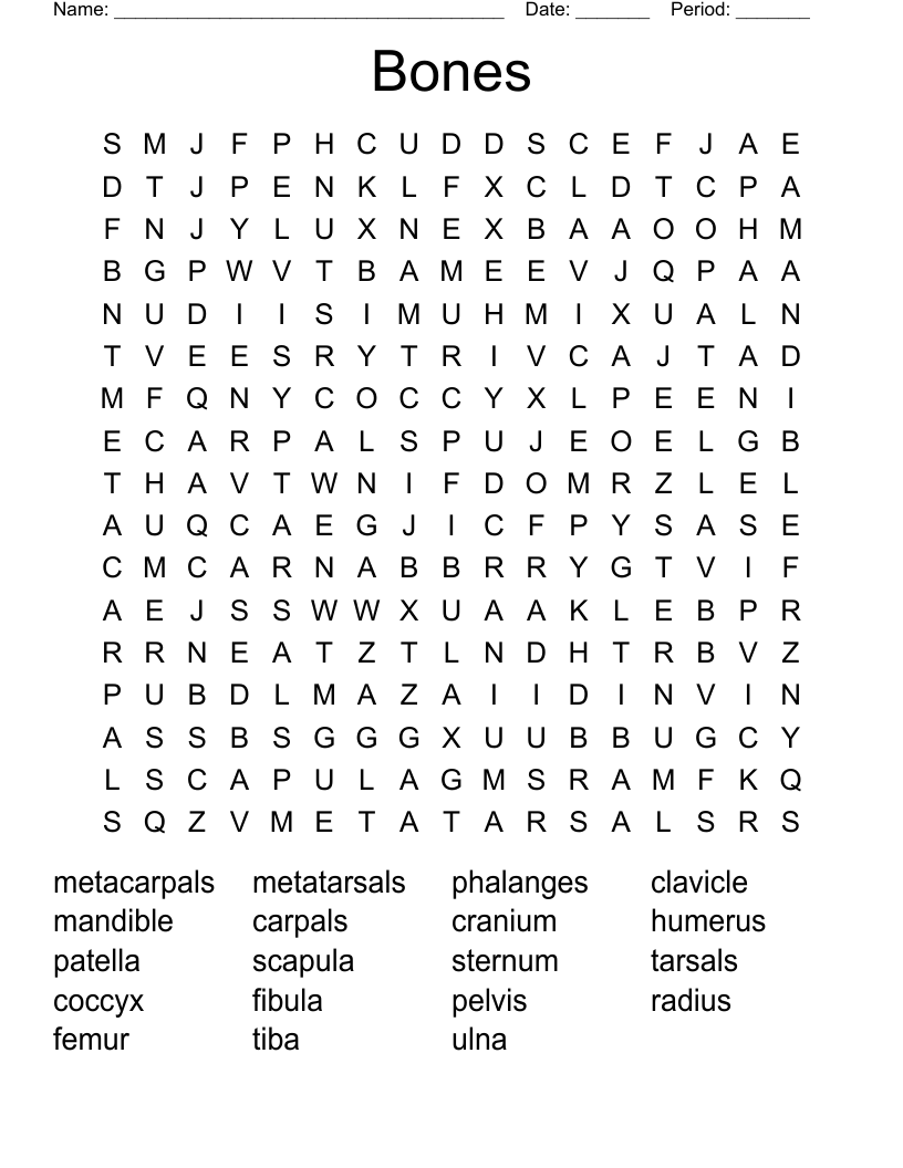 Bones Word Search