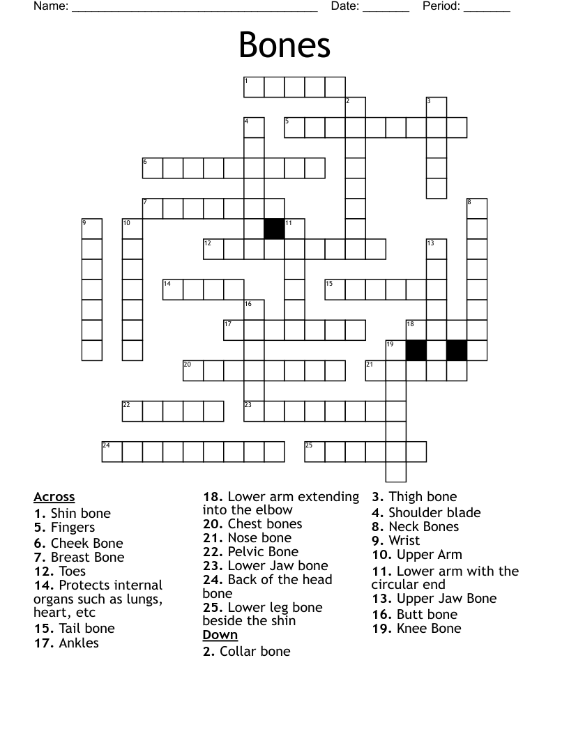 Bones Crossword