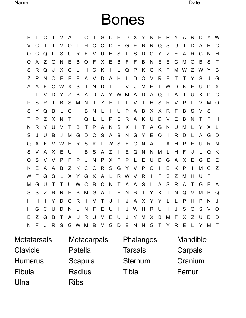 Bones Word Search