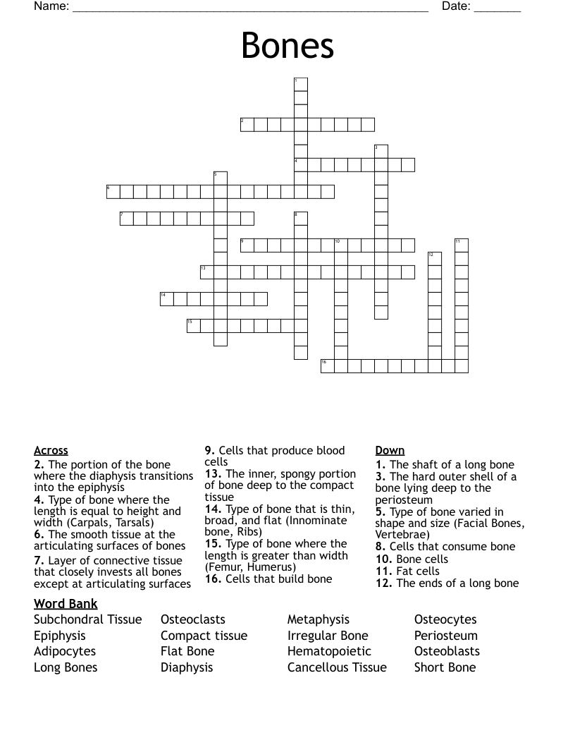 Bones Crossword
