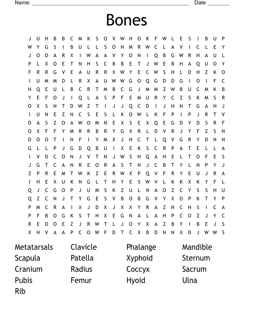 Bones Word Search