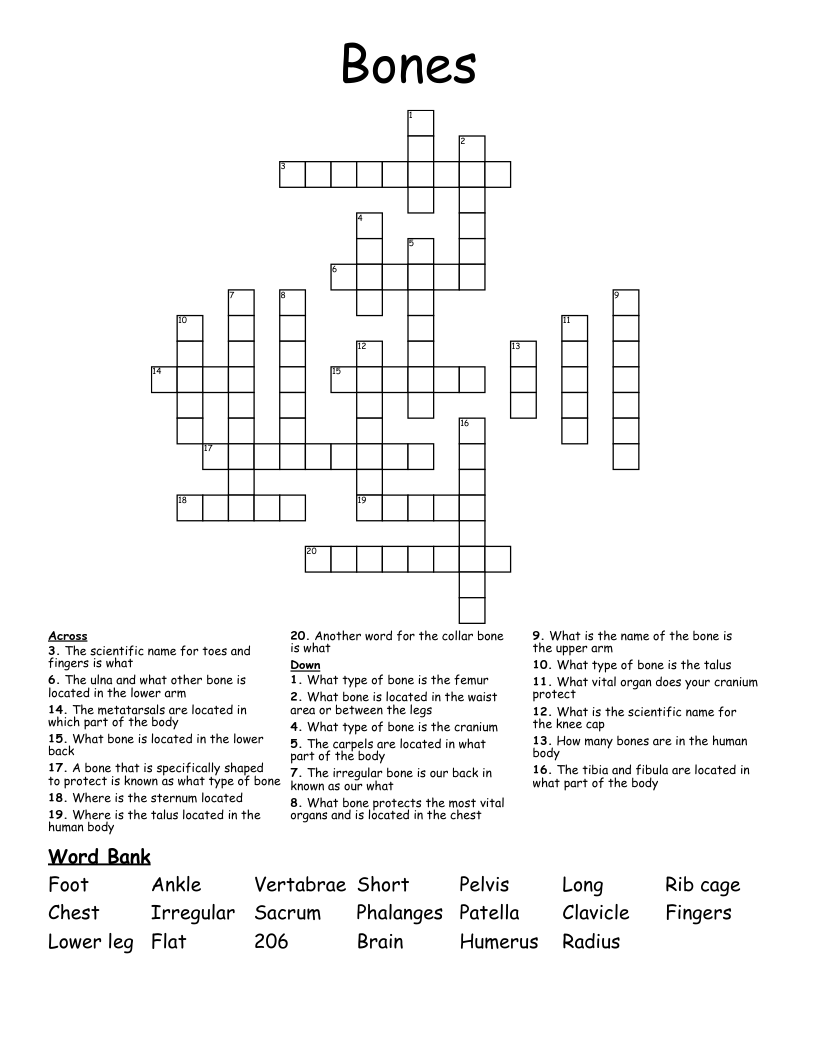 Bones Crossword