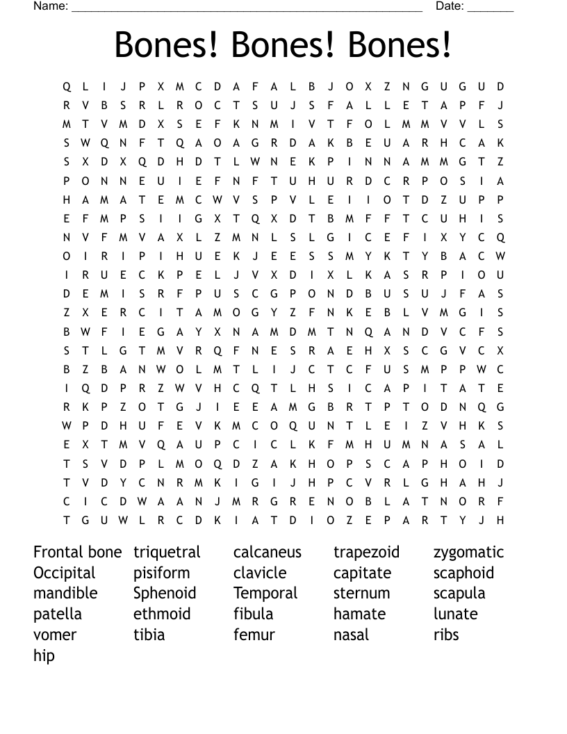 Bones! Bones! Bones! Word Search