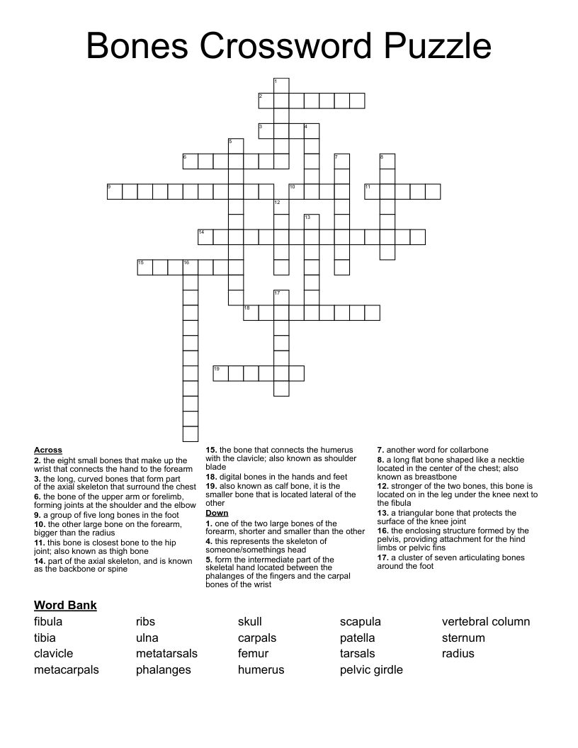 Bones Crossword Puzzle
