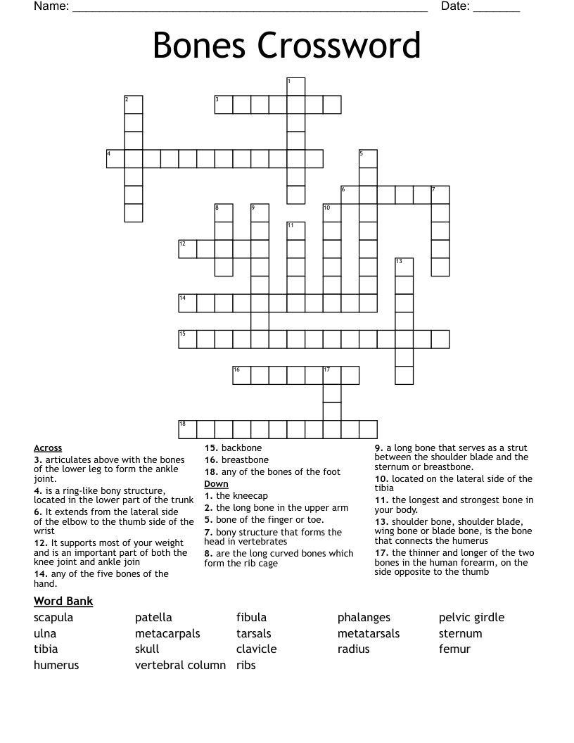 Bones Crossword 