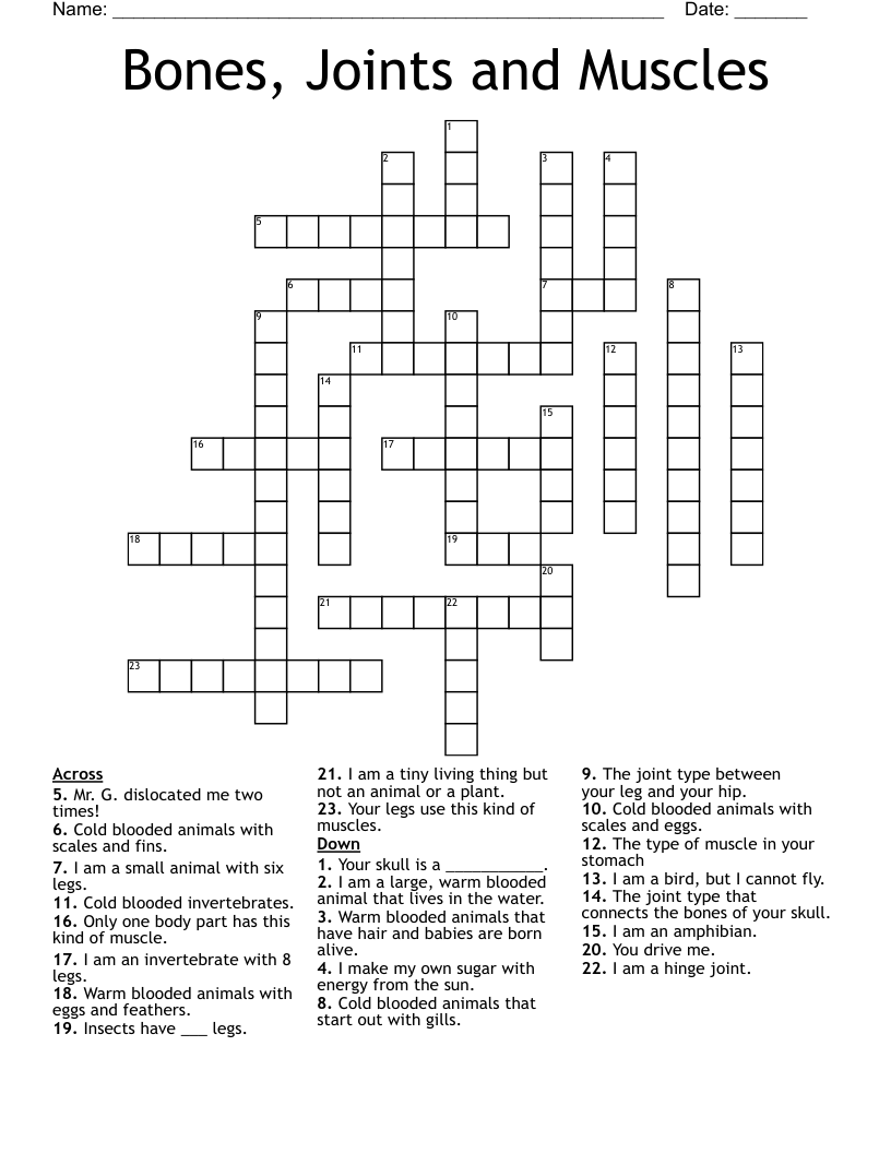 Bones, Joints and Muscles Crossword