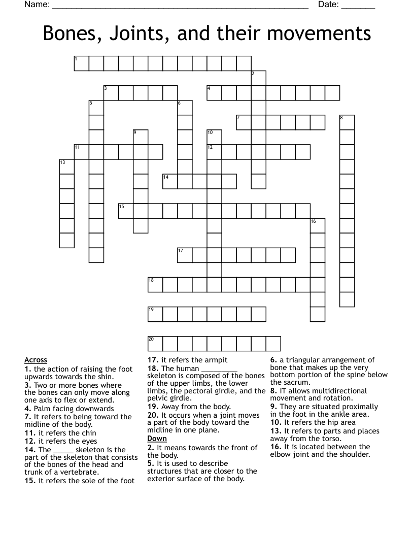 Bones, Joints, and their movements Crossword
