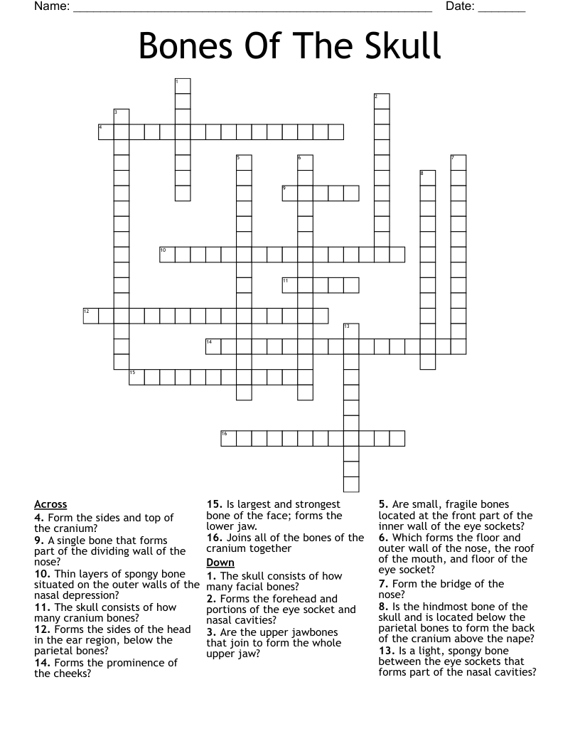 Bones Of The Skull Crossword