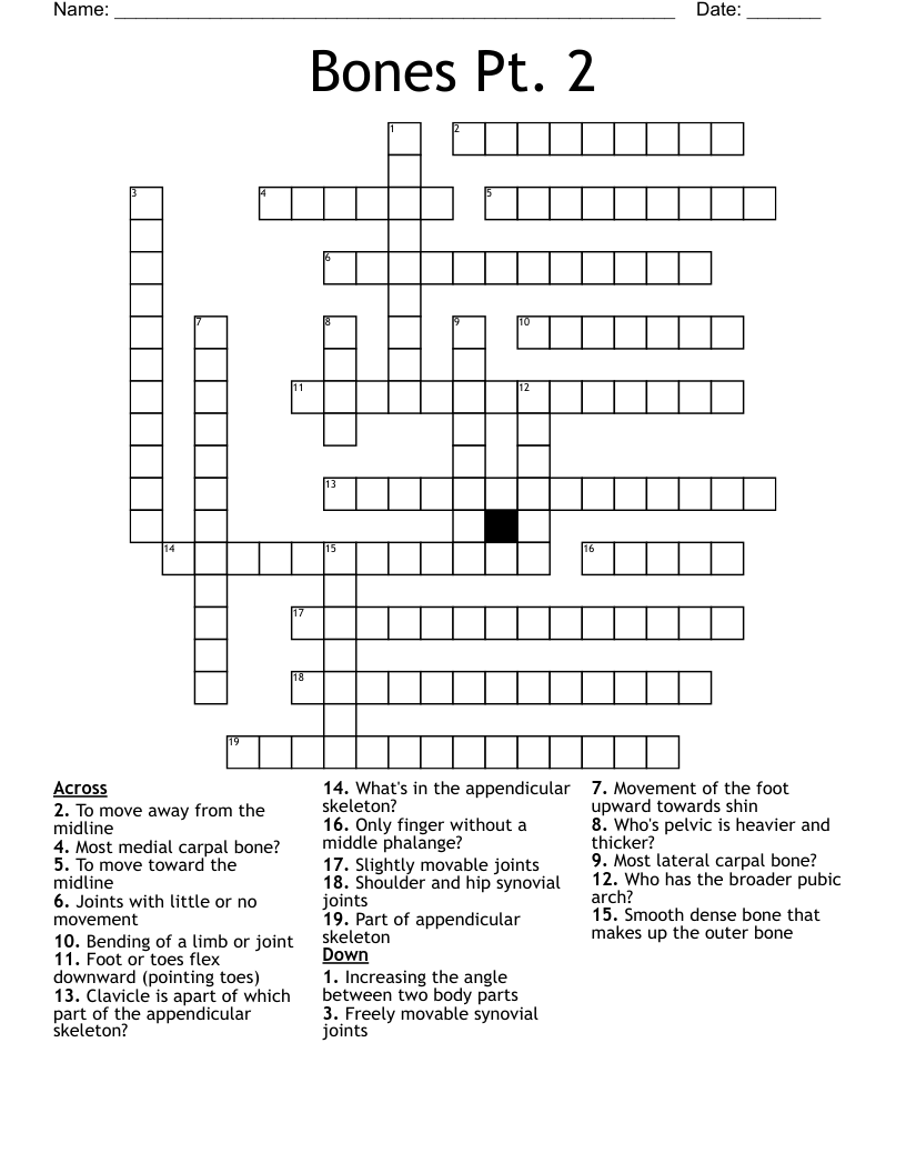 Bones Pt. 2 Crossword