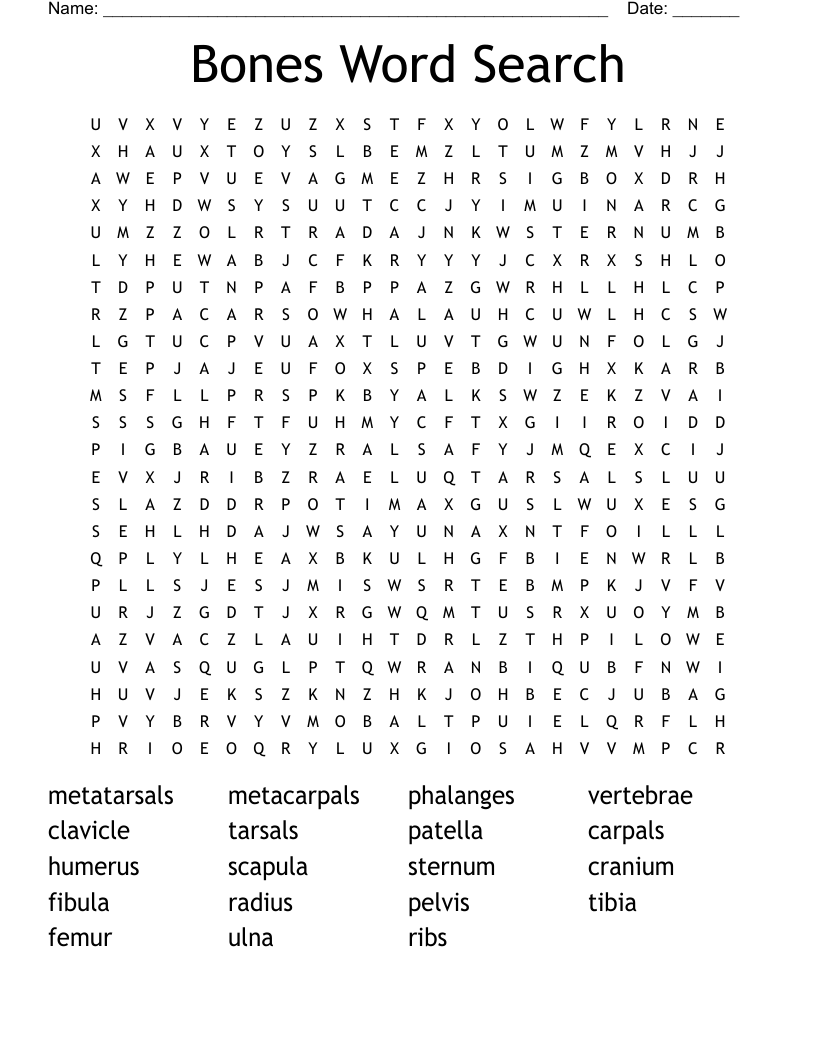 Bones Word Search
