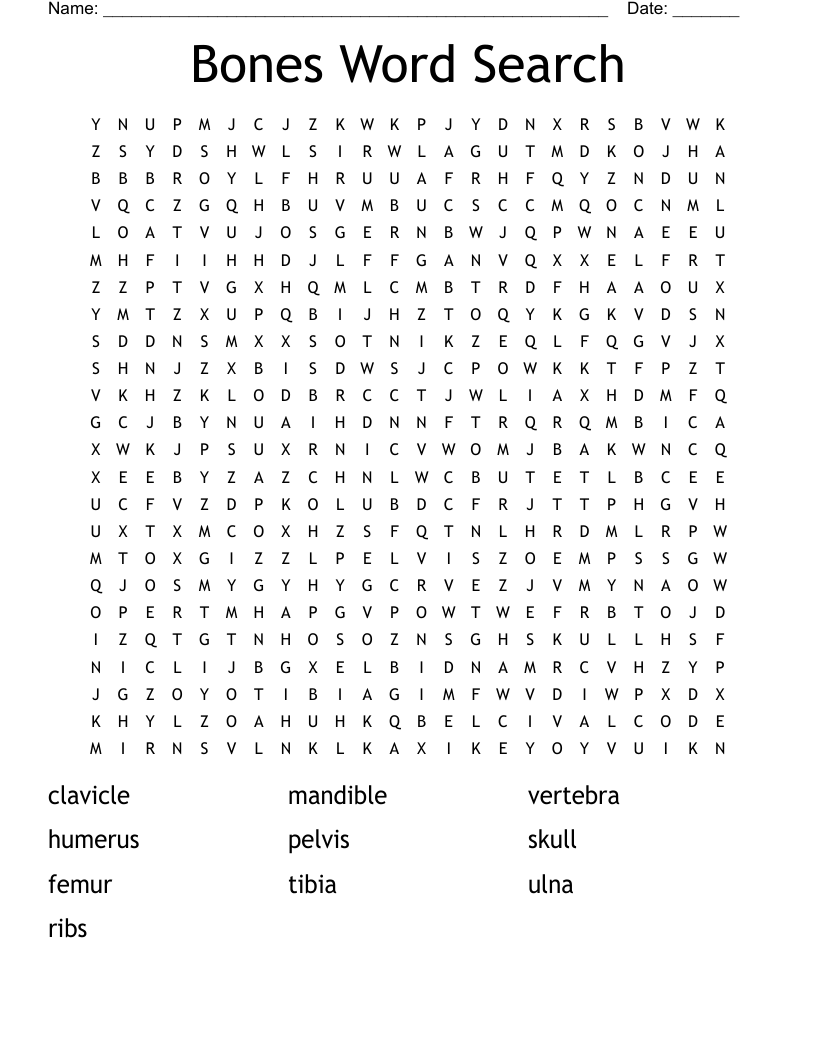 Bones Word Search