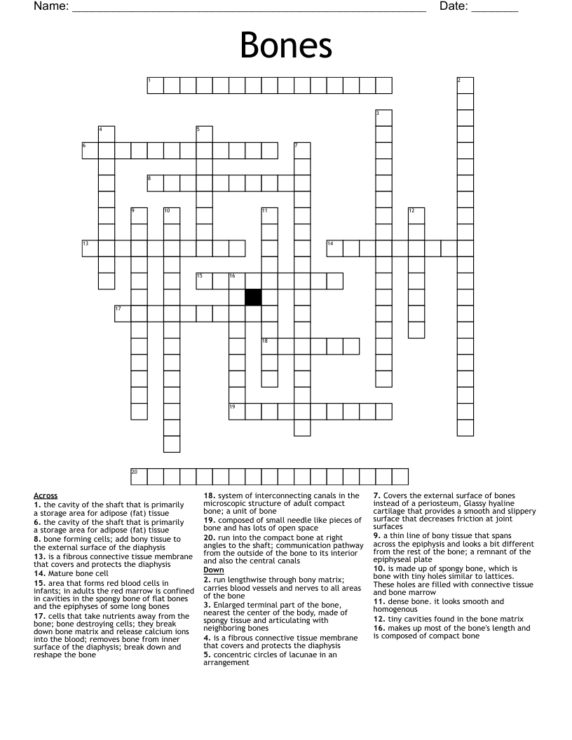 Bones  Crossword