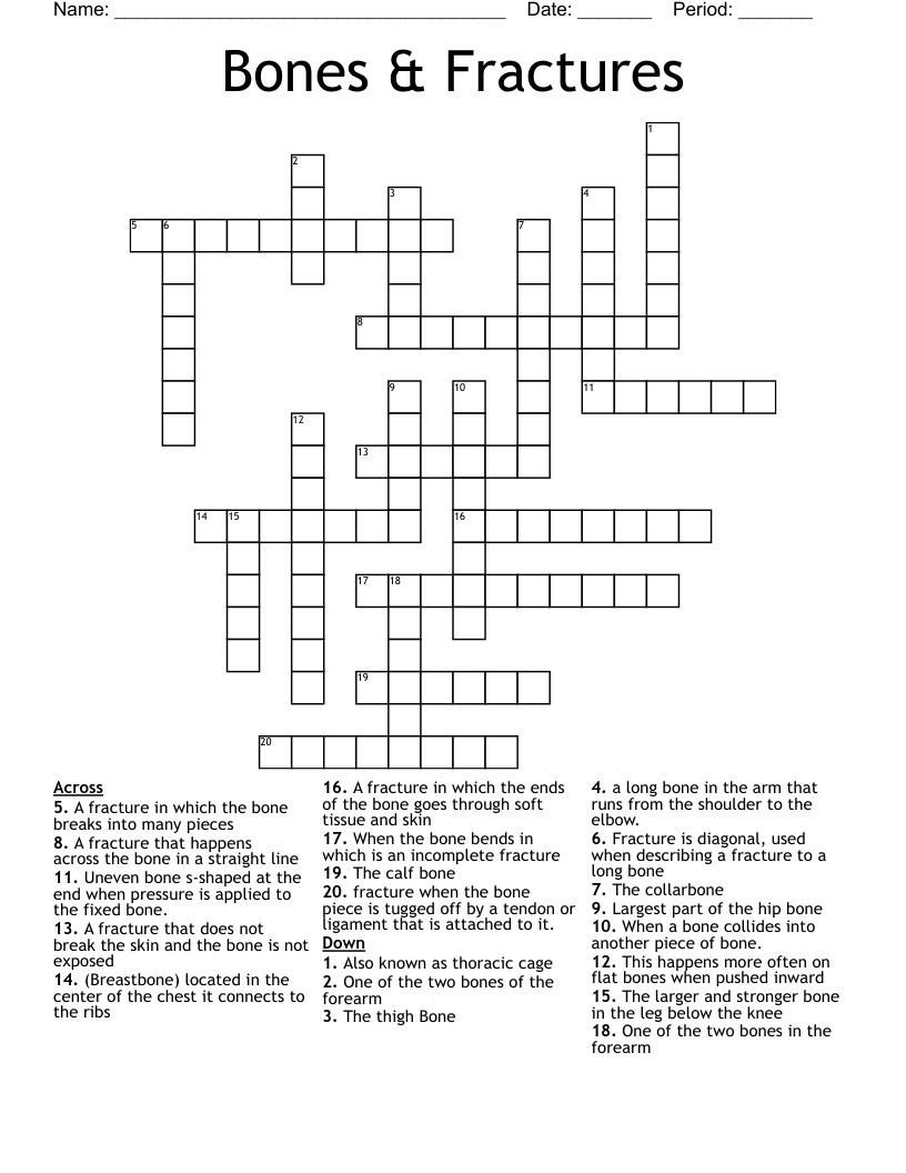 Bones & Fractures Crossword