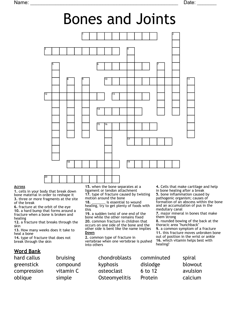 Bones and Joints Crossword
