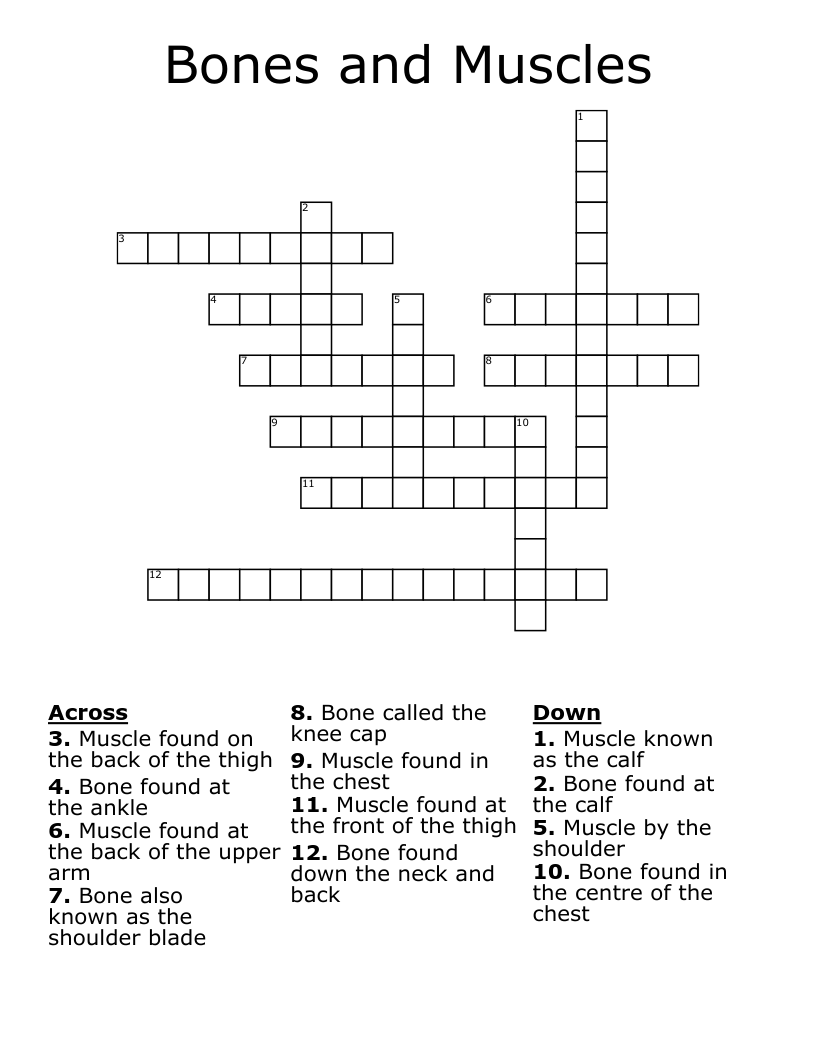 Bones and Muscles Crossword