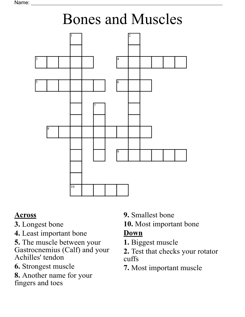 Bones and Muscles Crossword