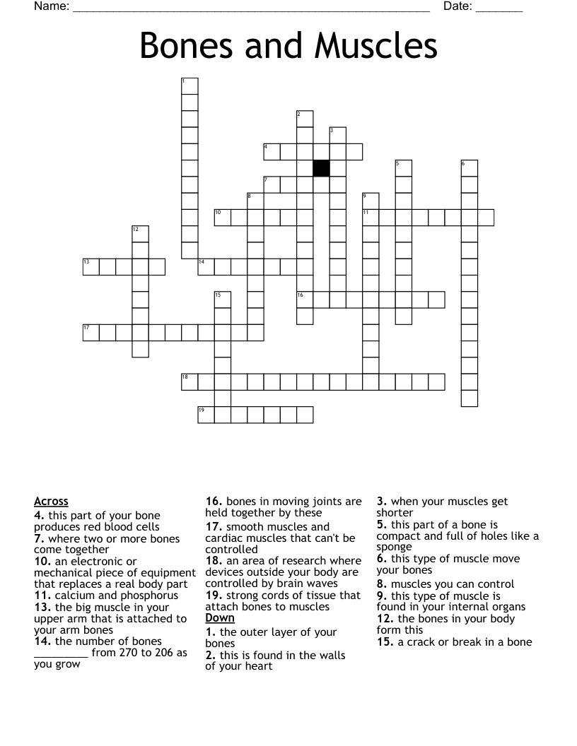 Bones and Muscles Crossword