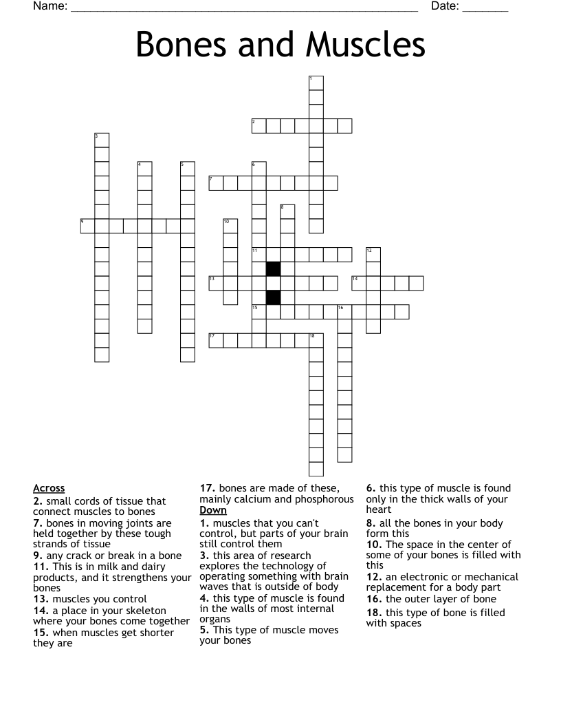 Bones and Muscles Crossword