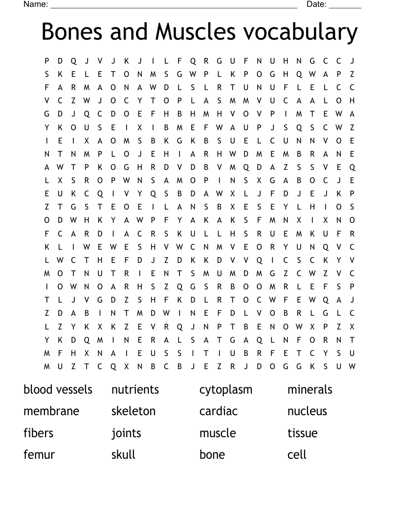 Bones and Muscles vocabulary Word Search