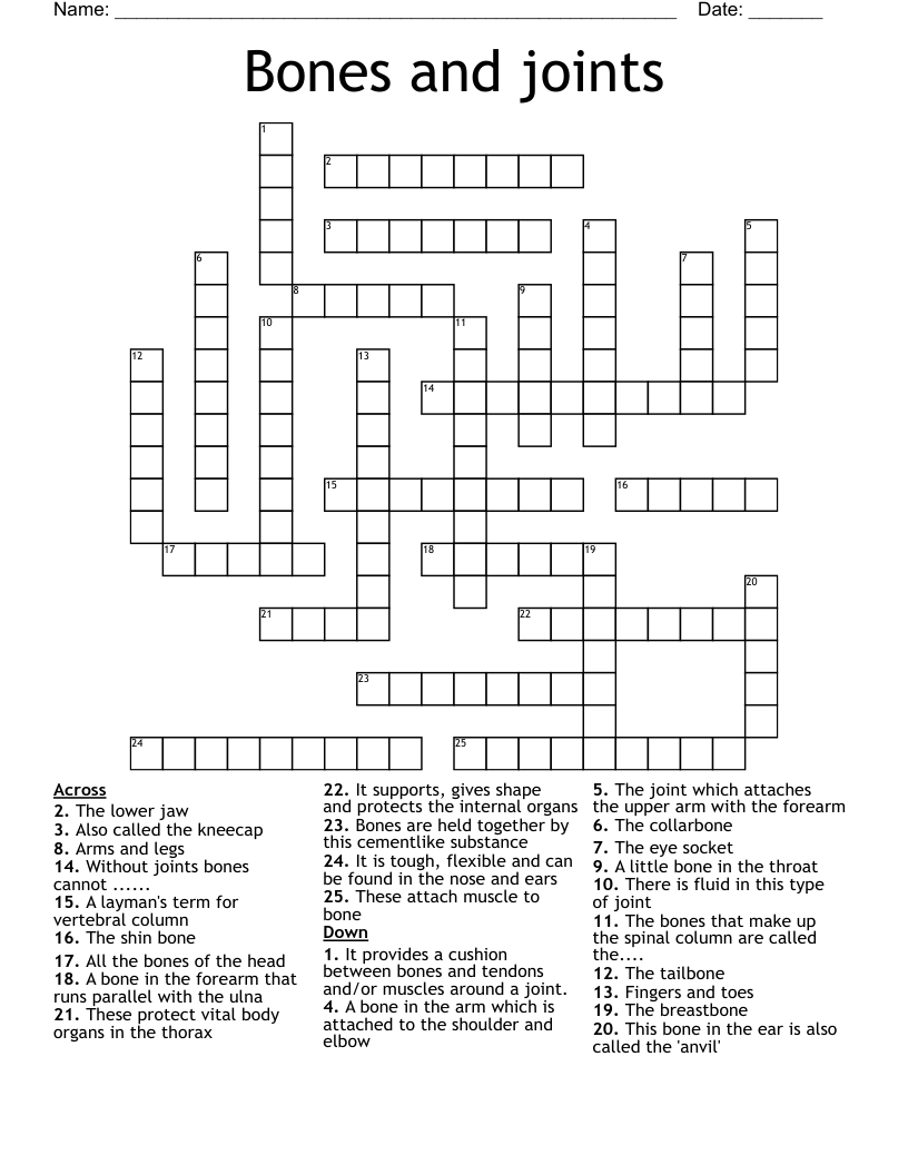 Bones and joints Crossword