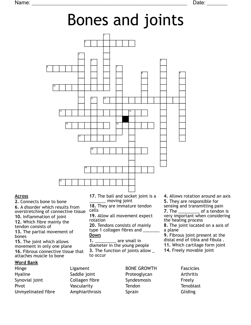 Bones and joints Crossword