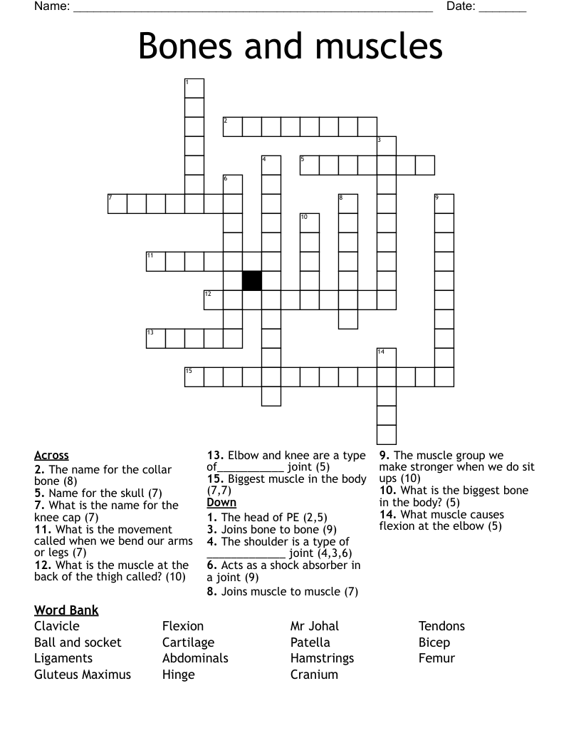 Bones and muscles Crossword