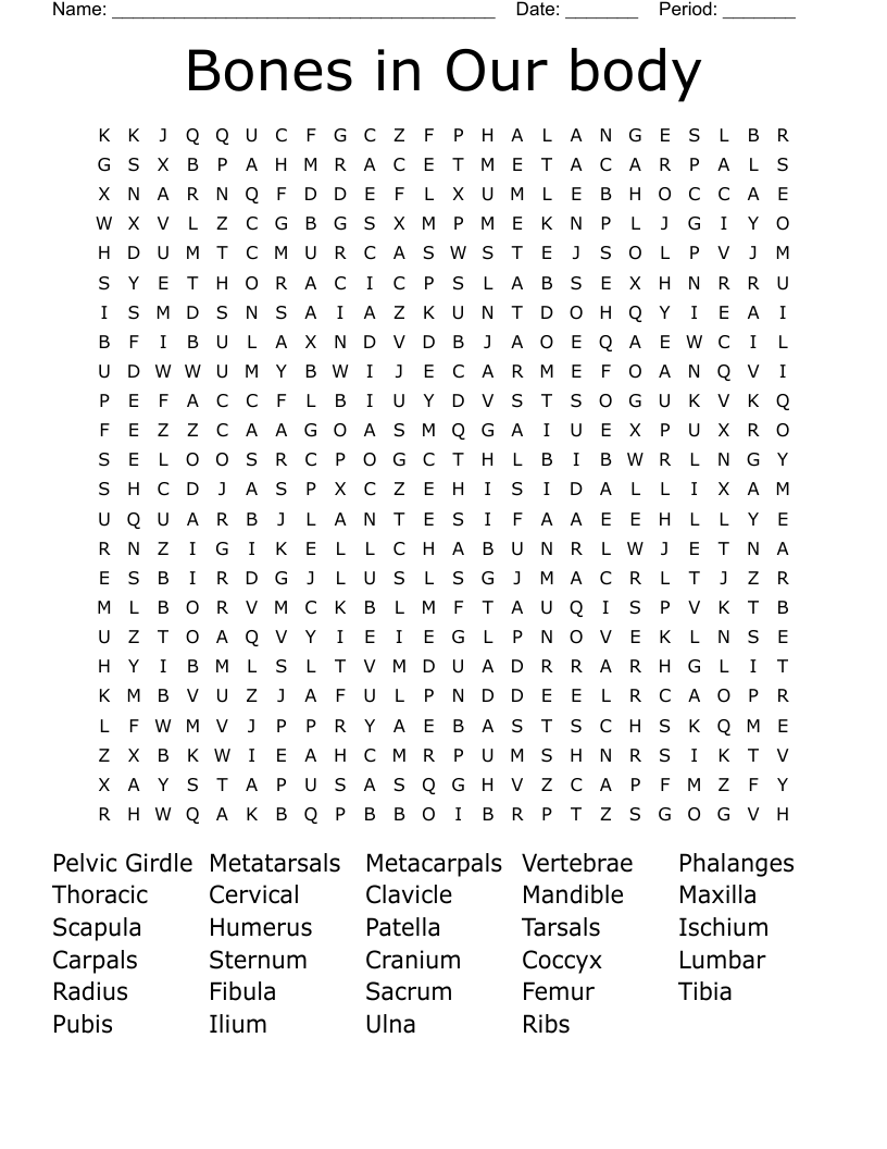 Bones in Our body Word Search