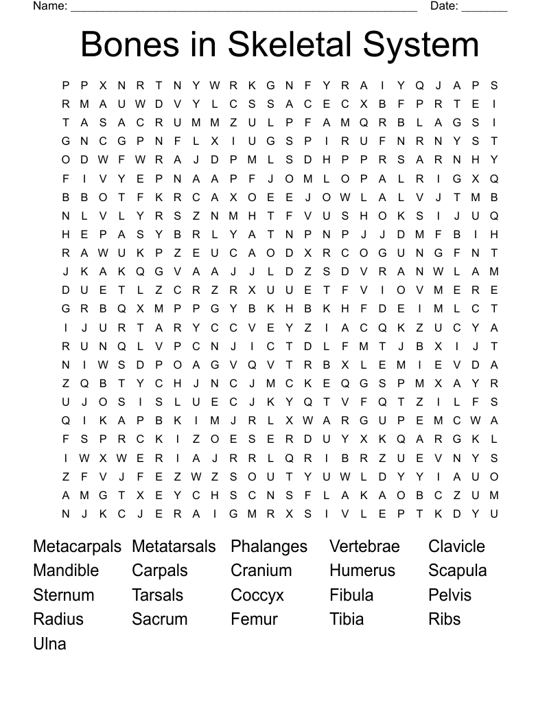 Bones in Skeletal System Word Search