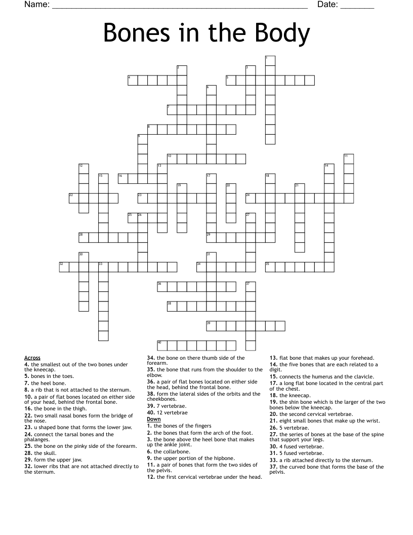 Bones in the Body Crossword