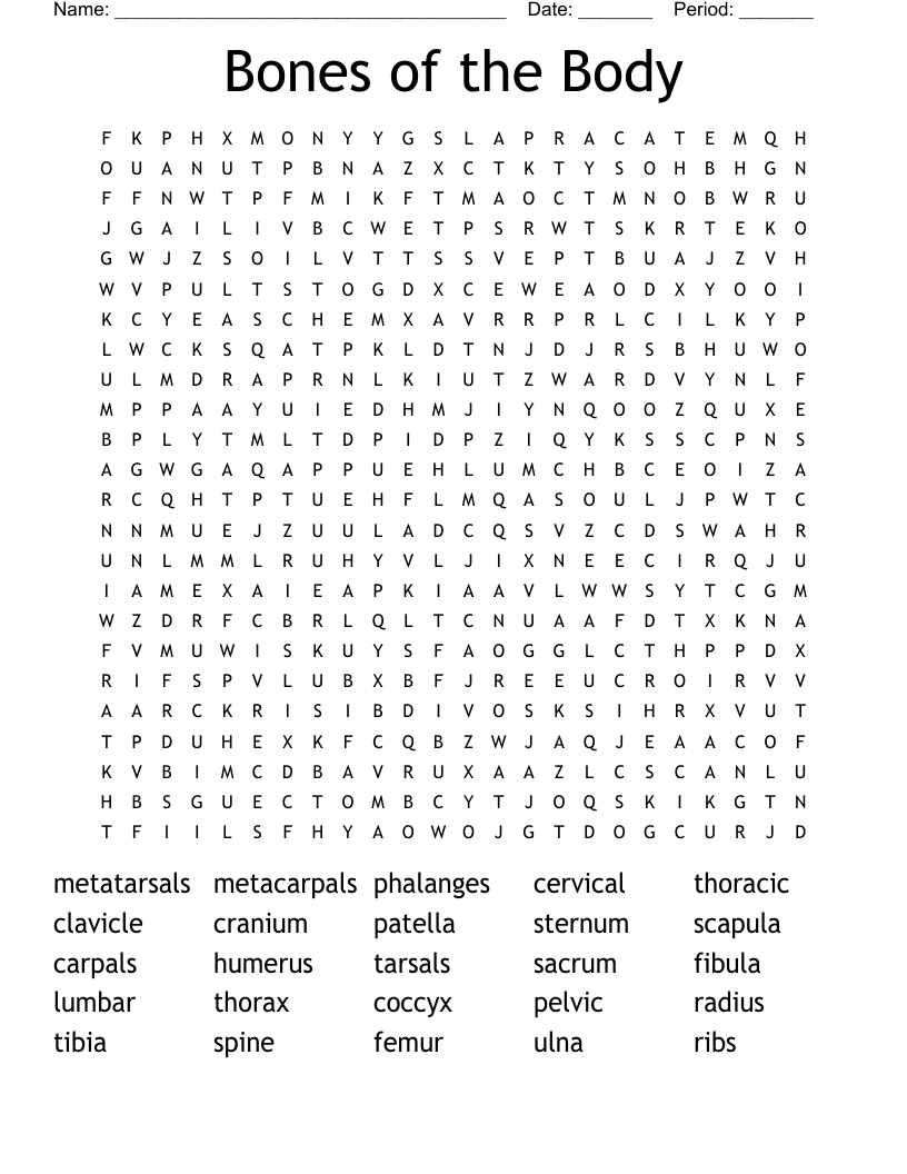Bones of the Body Word Search