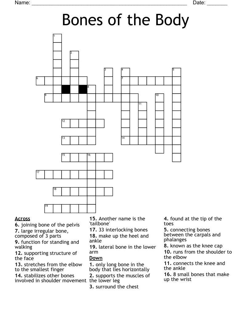 Bones of the Body Crossword