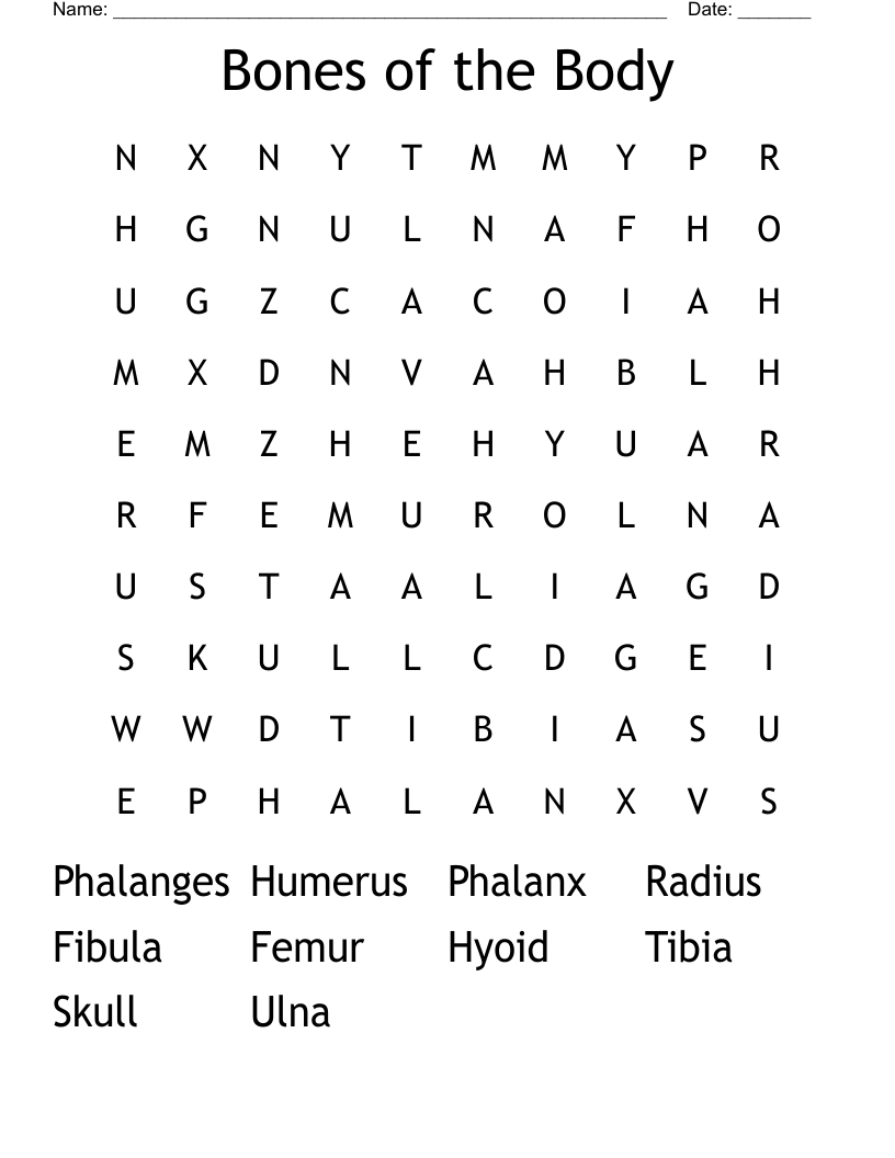 Bones of the Body Word Search