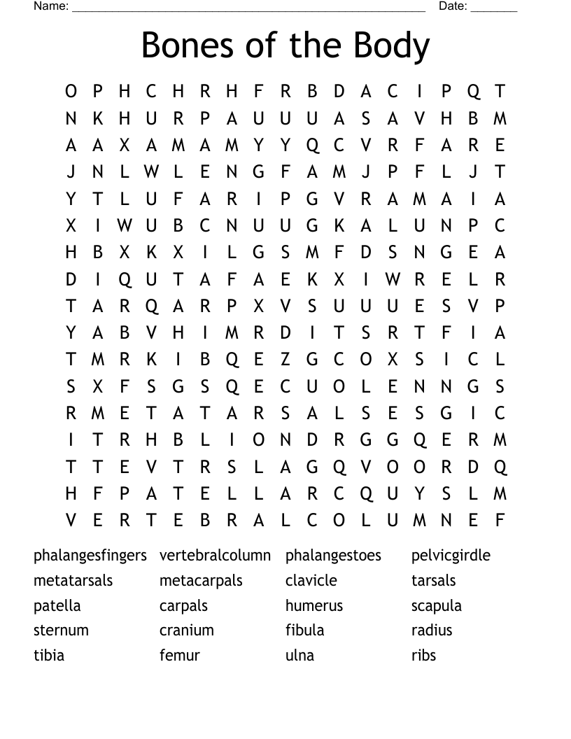 Bones of the Body Word Search