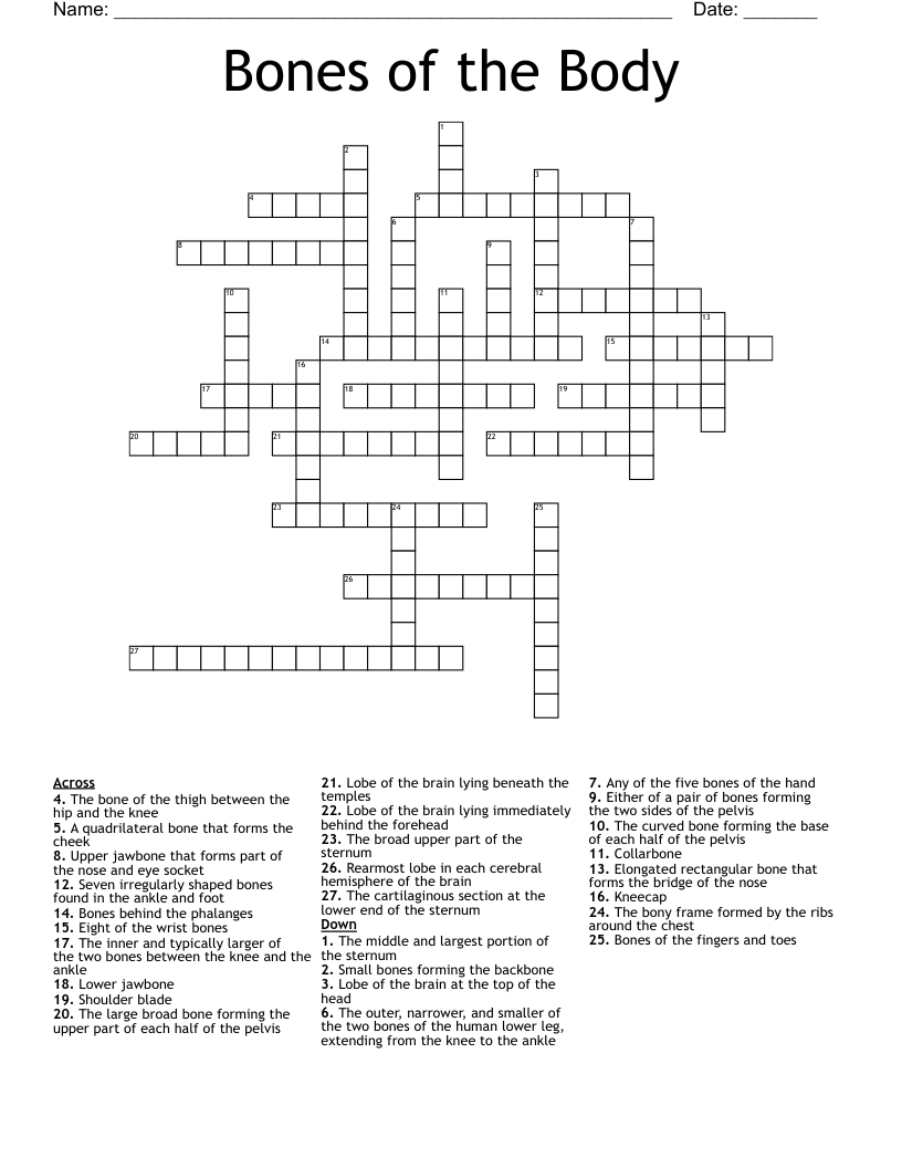 Bones of the Body Crossword