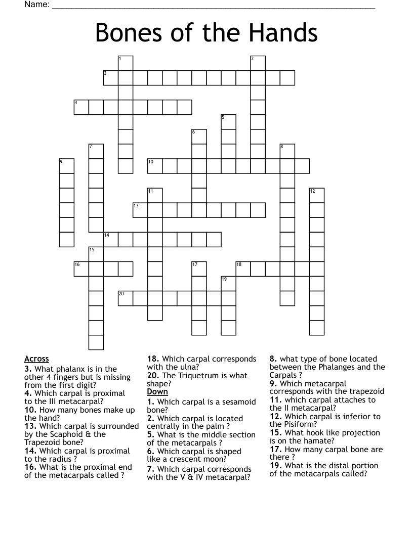 Bones of the Hands Crossword