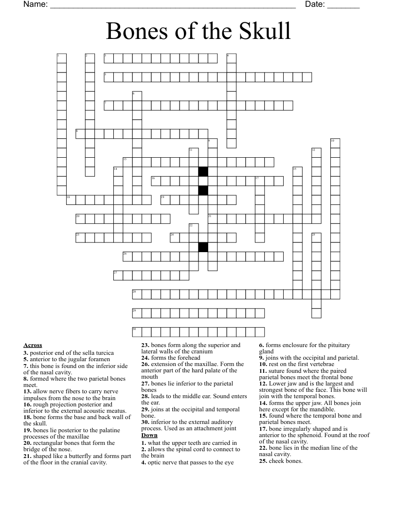 Bones of the Skull Crossword